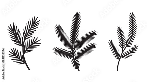 Simple black vector illustrations of three evergreen branches for christmas and winter themes