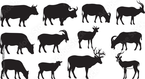 Diverse collection of farm and wild animal silhouettes