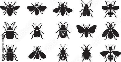 Black insect icons collection