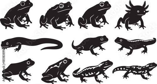 Amphibian silhouettes collection vector art