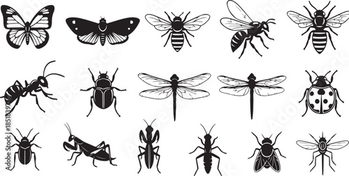Black and white insect silhouette icons