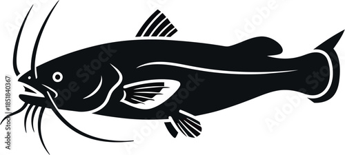 Empty vector file display