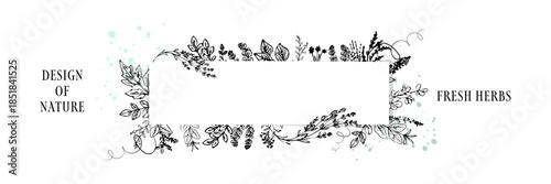 Botanical Herb Leaves Frame for Natural Wellness and Spa Branding - Green herb leaves forming a botanical frame with blank center for spa branding, organic products, and wellness design.