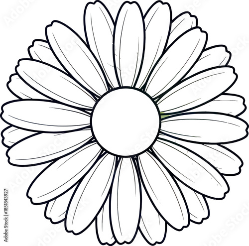 Empty vector file display