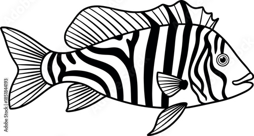 Simple vector file illustration