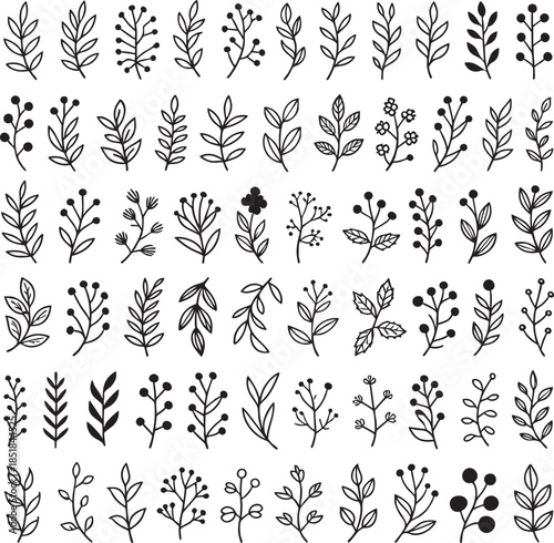 An array of delicate hand drawn botanical illustrations with red berry accents