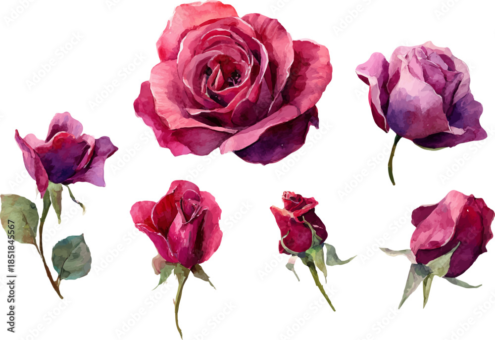 Fototapeta premium bouquet of roses