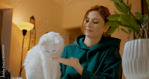 Obraz na płótnie Gentle young woman with red hair lovingly feeding white Turkish Angora cat while