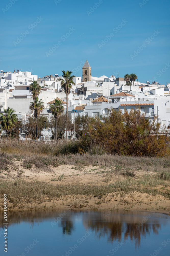 Fototapeta premium Beautiful view of white houses in Conil de la Frontera reflected in a natural pond, featuring the historic church tower, palm trees, and coastal vegetation under a bright blue sky in Andalusia, Spain.