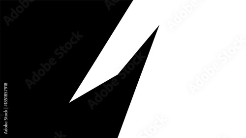 Abstract black and white background with sharp geometric shapes creating a dynamic contrast.