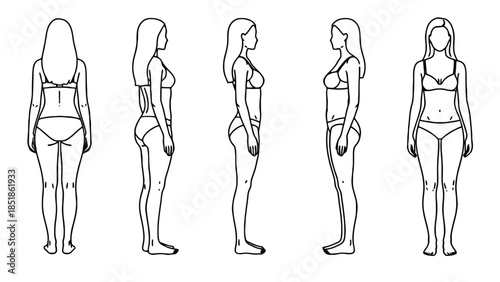 Illustration of female body types from different angles
