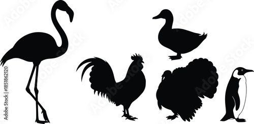 Silhouette of various birds including flamingo rooster duck turkey and penguin isolated on white background for wildlife and nature design projects