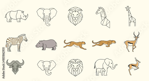 Collection of Various Wild Animal Illustrations.