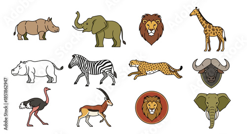 Collection of Various Wild Animal Illustrations.