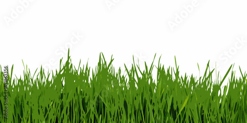 A simple illustration of green grass blades against a white background