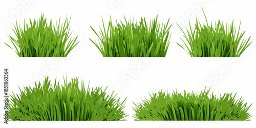 A collection of vibrant green grass blades and clumps isolated on white