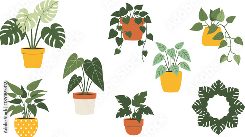 Modern indoor houseplant illustration set featuring monstera, philodendron, hanging vines, leafy potted plants, and decorative greenery elements for home decor and botanical vector design projects.