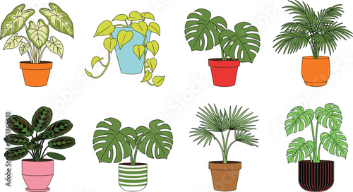 Tropical potted houseplant illustration set featuring monstera, palm, philodendron, pothos, and decorative leafy indoor plants for botanical, home decor, and modern vector design projects.
