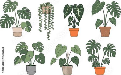Tropical houseplant illustration set featuring monstera, philodendron, alocasia, and hanging plants in decorative pots, perfect for indoor greenery, botanical decor, and modern vector design projects.