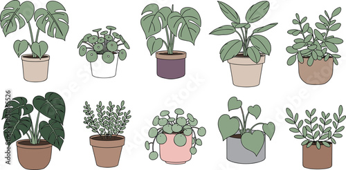 Hand drawn potted houseplant illustration set featuring monstera, pilea, philodendron, and leafy indoor plants, perfect for botanical decor, cozy interiors, and modern vector design projects.