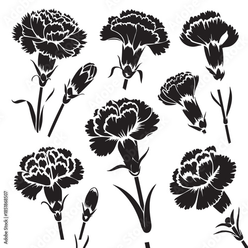 PrinCollection of detailed carnation flower silhouettes isolated on a light background.t