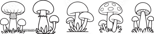 Mushroom illustration silhouette isolated on white. Magic mushroom nature vector silhouette black line contour drawing with funguses.  Cartoon mushroom illustrations, black and white fungi drawing.