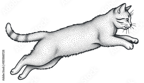 A jumping cat in black and white dotwork illustration style, perfect for pet-themed designs and art projects