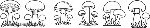 Mushroom illustration silhouette isolated on white. Magic mushroom nature vector silhouette black line contour drawing with funguses.  Cartoon mushroom illustrations, black and white fungi drawing. .