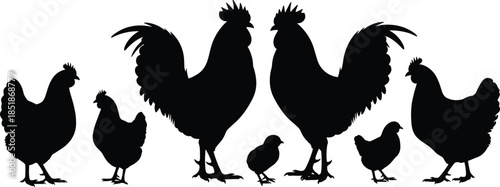 Set of black silhouettes featuring a farm family of roosters hens and chicks for agricultural poultry farming and countryside concepts