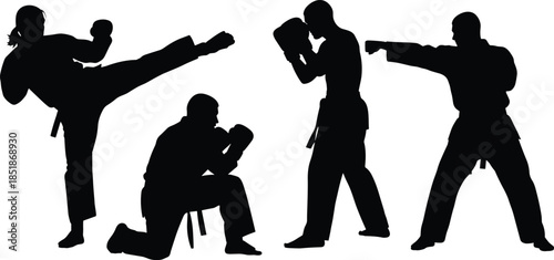 Set of black silhouettes featuring martial arts athletes performing karate kicks punches and defensive poses for sports training and competition concepts