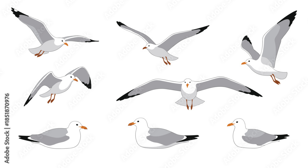 Obraz premium Detailed set of seagulls depicted in various poses including flying soaring and resting showcasing their graceful movements.