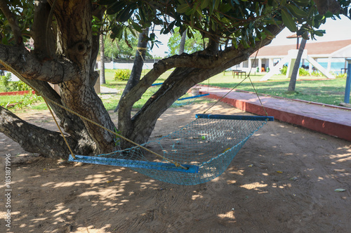 hammock in under the tree branches