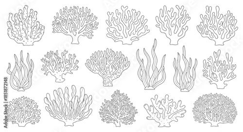 Diverse set of various coral reef outlines and marine plants providing a comprehensive collection for underwater and oceanic themed designs.