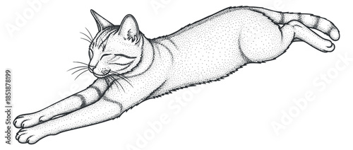 A stretching cat illustration in black and white line art style, suitable for pet-themed designs and decor