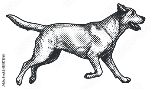 A running dog illustration in black and white vintage sketch style, ideal for pet-related branding and designs