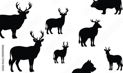 Silhouettes of various deer and wildlife animals in black on a white background