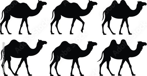 Camel silhouette icon set, dromedary, Bactrian, desert animal, one hump, two humps, profile, black shape, grid layout, wildlife, transportation, Arabian, nomadic, minimal design, graphic, UI element,