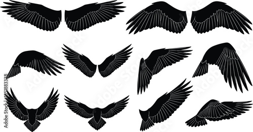 Bird wings silhouette collection featuring flying avian wing positions, detailed feather shapes, wildlife flight motion designs isolated on white background