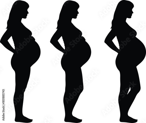 Trimester progression silhouette of a pregnant woman showing the natural stages of pregnancy. Expecting mother with different belly sizes, representing motherhood, change, fertility, and new life