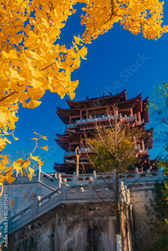 Autumn scenery of Helu Temple and its thousand-year-old ginkgo tree in Yantai, Shandong, China
