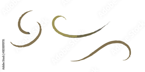 Abstract brushstrokes create swirling curved lines on a dark background