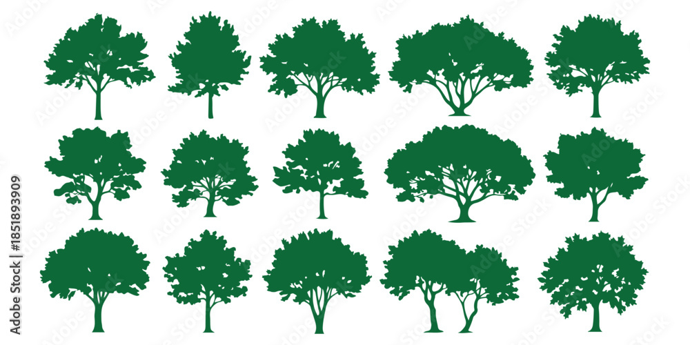 Fototapeta premium collection of green leaves