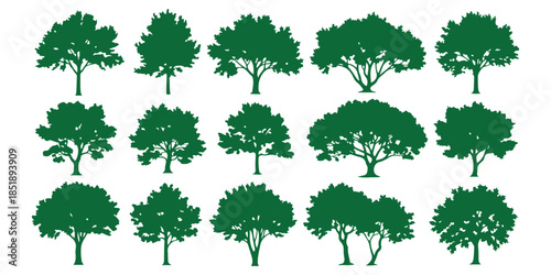 collection of green leaves