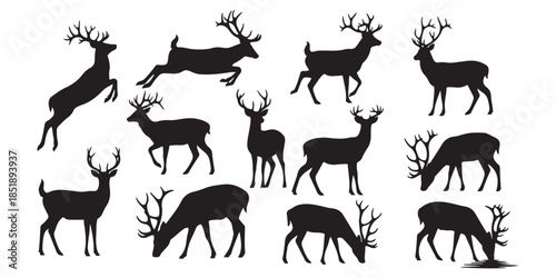 vector silhouettes of animals