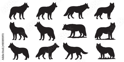 set of silhouettes of animals