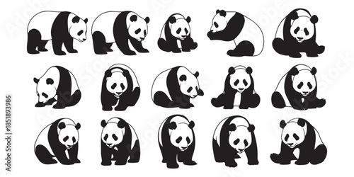 vector illustration of a set of animals