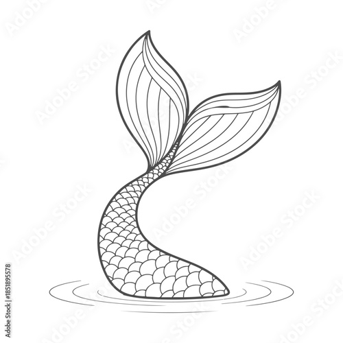 Mermaid tail minimalist line art 