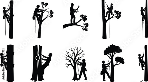 Black silhouette of professional arborist climbers, tree service workers pruning branches and maintaining trees with ropes and safety gear, isolated on white background