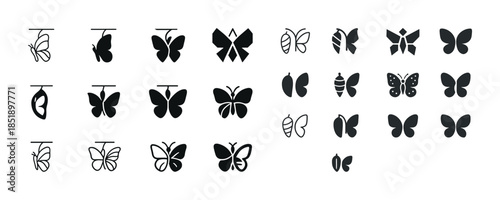 Butterfly evolution icons set: stages from cocoon to butterfly