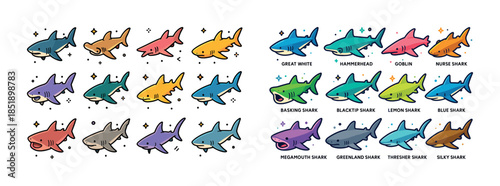 Colorful cartoon sharks collection with species names